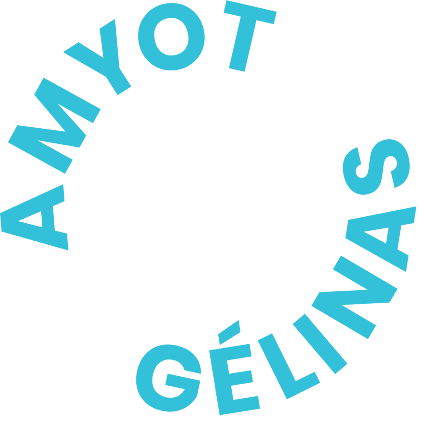 Logo Amyot Gélinas